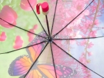 Зонт  женский River арт.6105-1_product